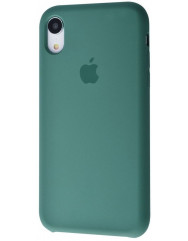 Чохол Silicone Case iPhone XR (зелений)