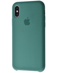 Чехол Silicone Case iPhone X/Xs (зеленый)