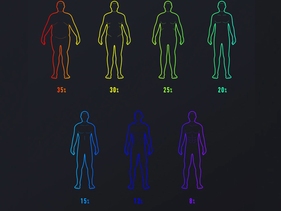 Xiaomi Mi Body Composition Scale 2 
